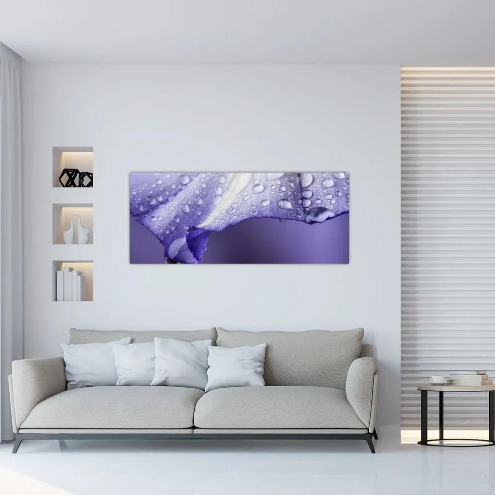 Obraz - Okvetný lístok s kvapkami (120x50 cm)