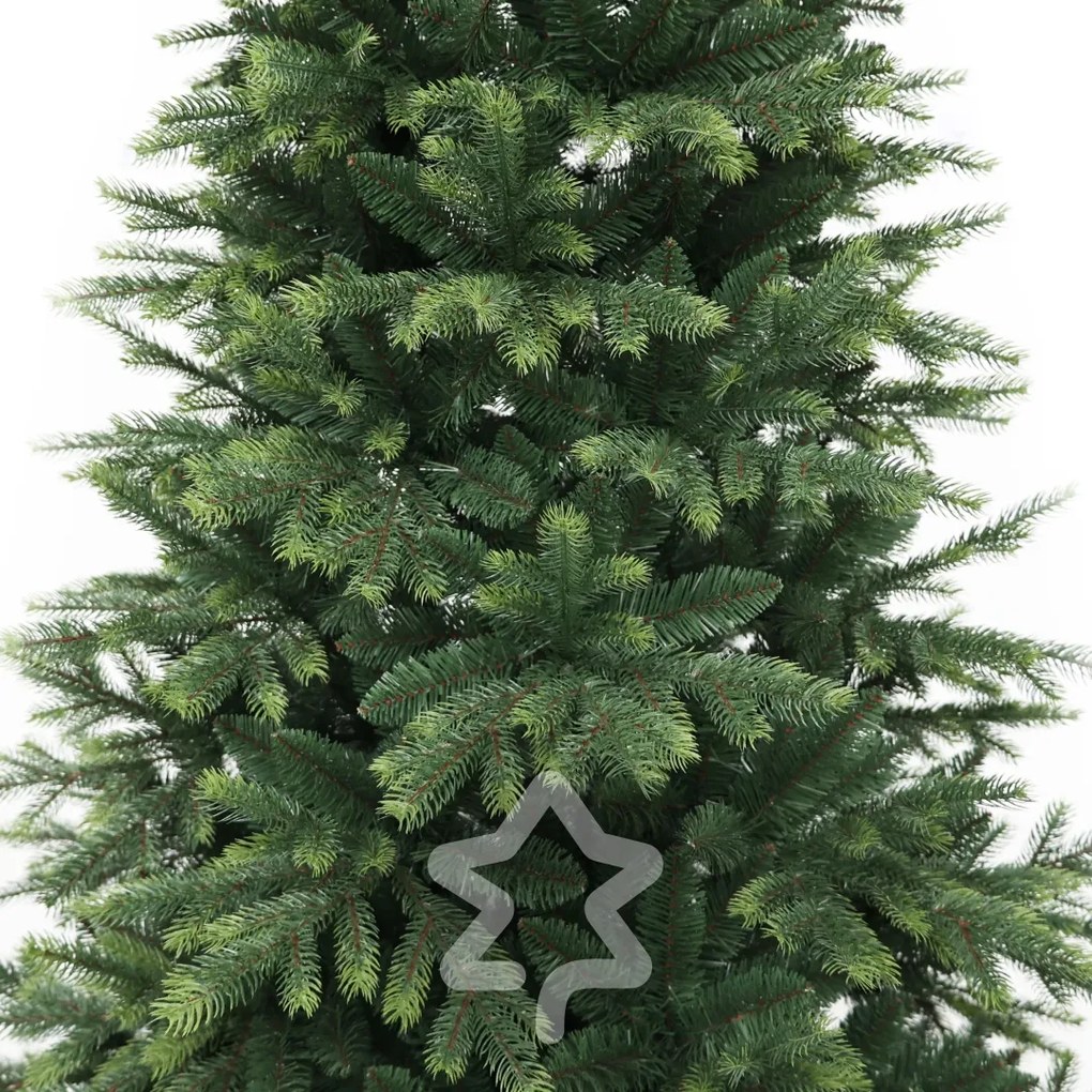Smrek Himalájsky 180 cm