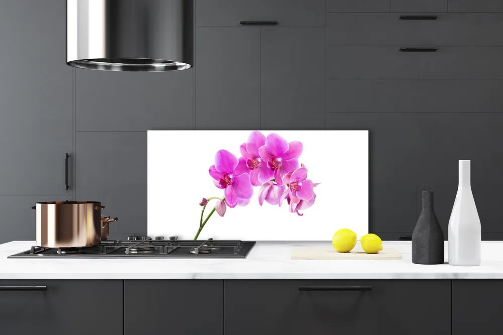 Sklenený obklad Do kuchyne Vstavač kvet orchidea 125x50 cm
