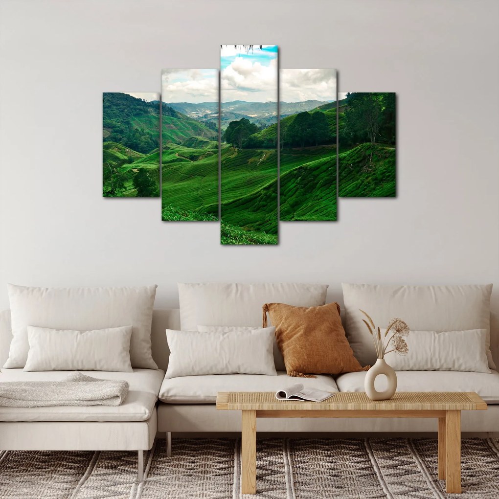 Obraz - Čajové plantáže v Malajzii (150x105 cm)