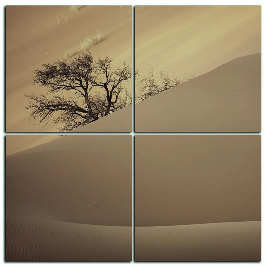 Obraz na plátne - Červené piesočné duny - štvorec 3133FE (60x60 cm)