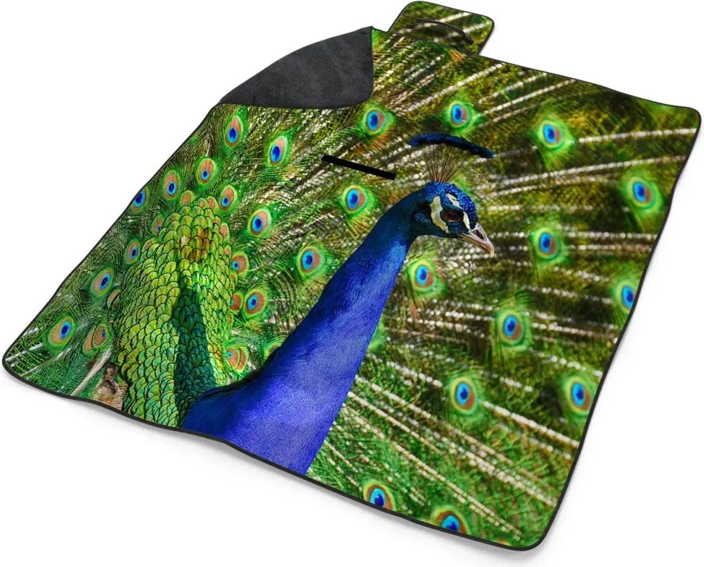 Sablio Plážová deka Páv: 200x140 cm