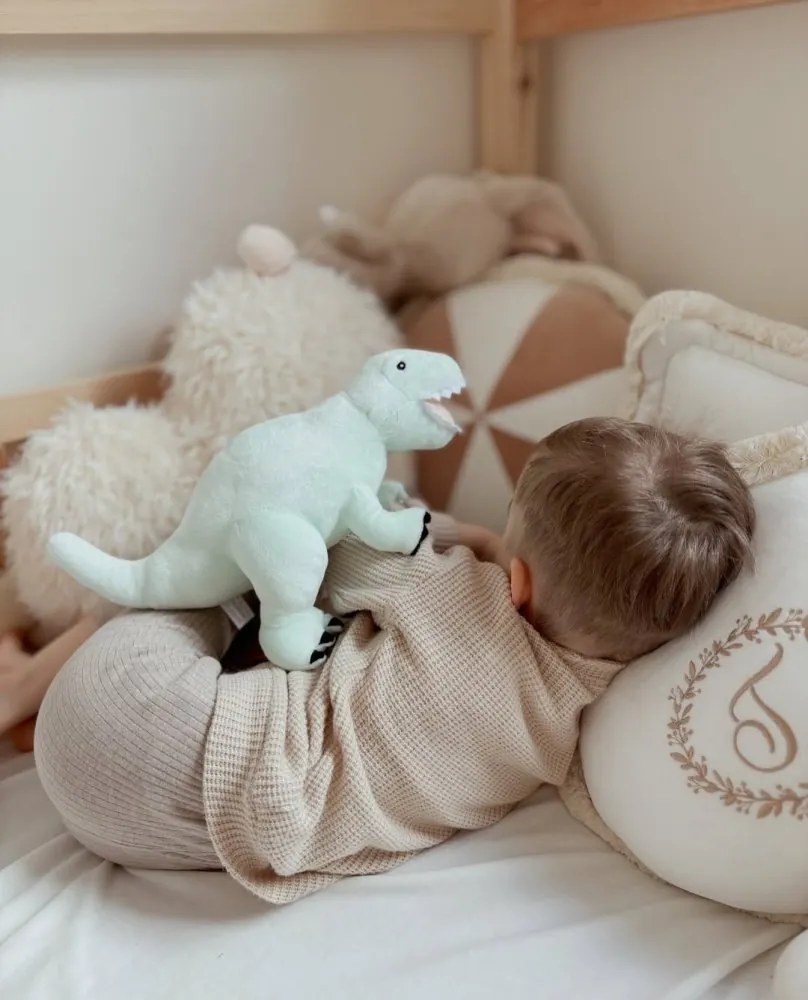 Plyšový Tyranosaurus Rex mätový M