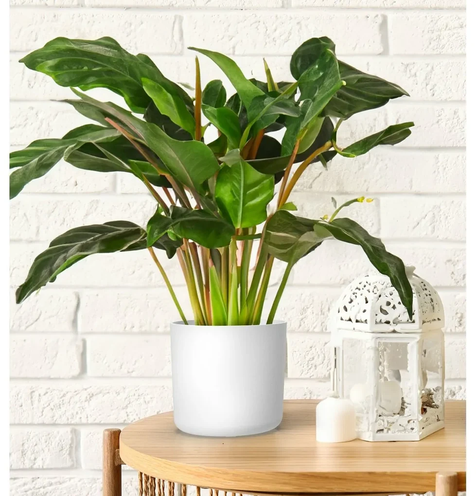 Gardenico Kvetináč Lora biela, pr. 30 cm, pr. 30 cm
