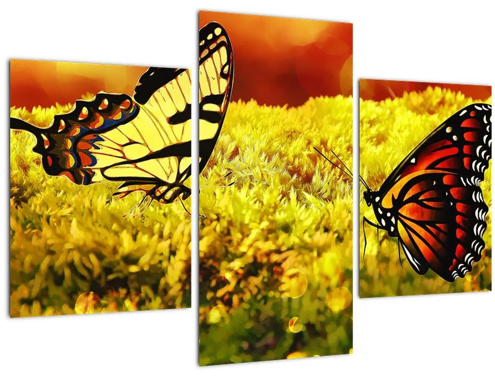 Obraz motýľov (90x60 cm)