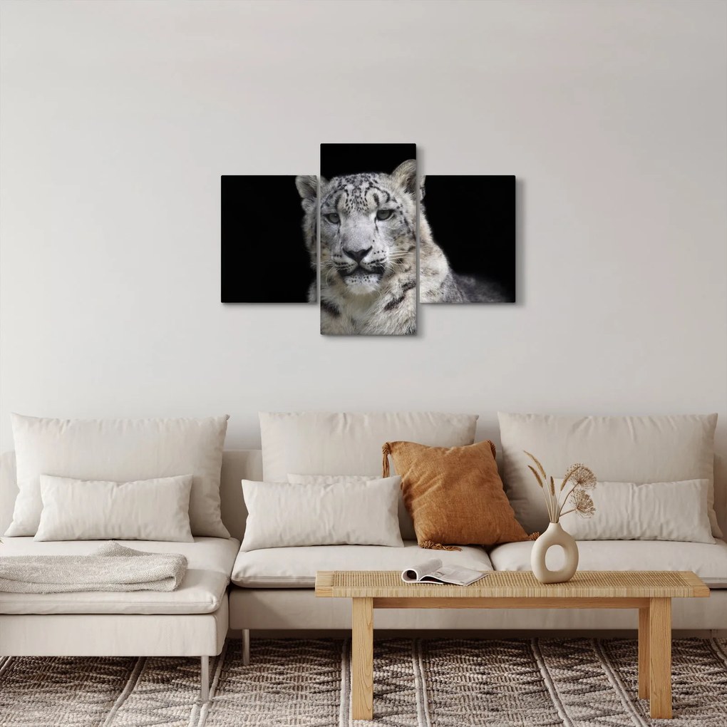 Obraz - Leopard snežný (90x60 cm)