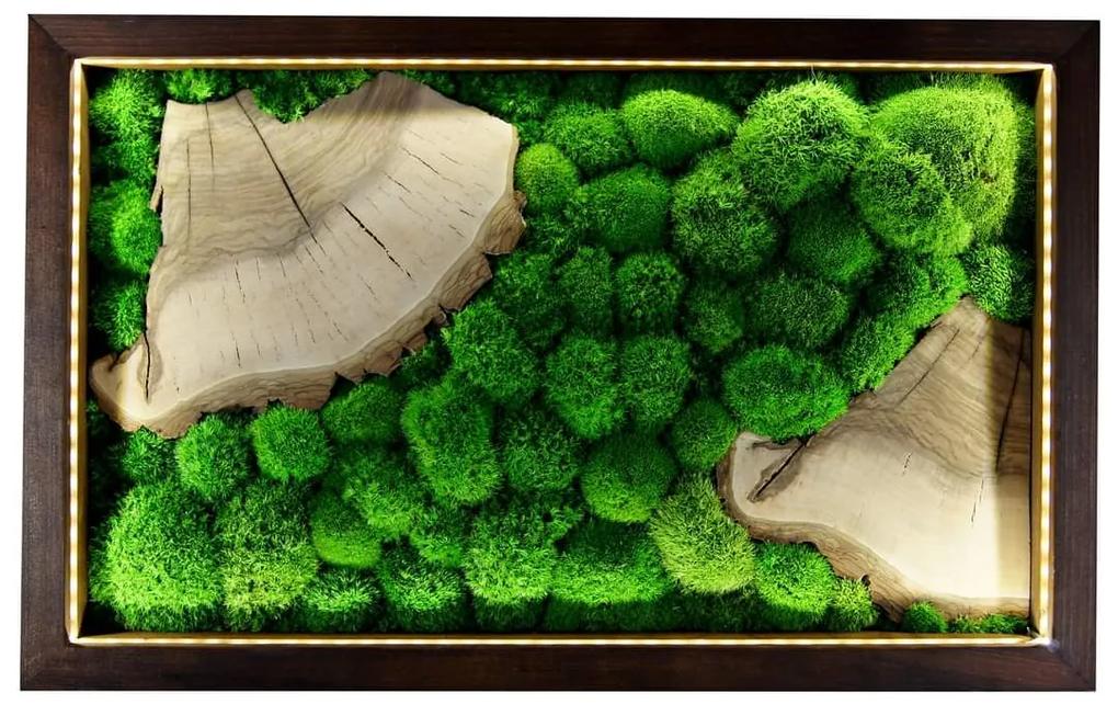 Machový obraz  s orechovým drevom a podsvietením Farba: Prírodná borovica, Veľkosť: 70 x 40 cm