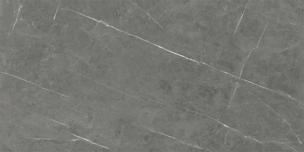 Dlažba Tessino Grey Pulido 60x120 R