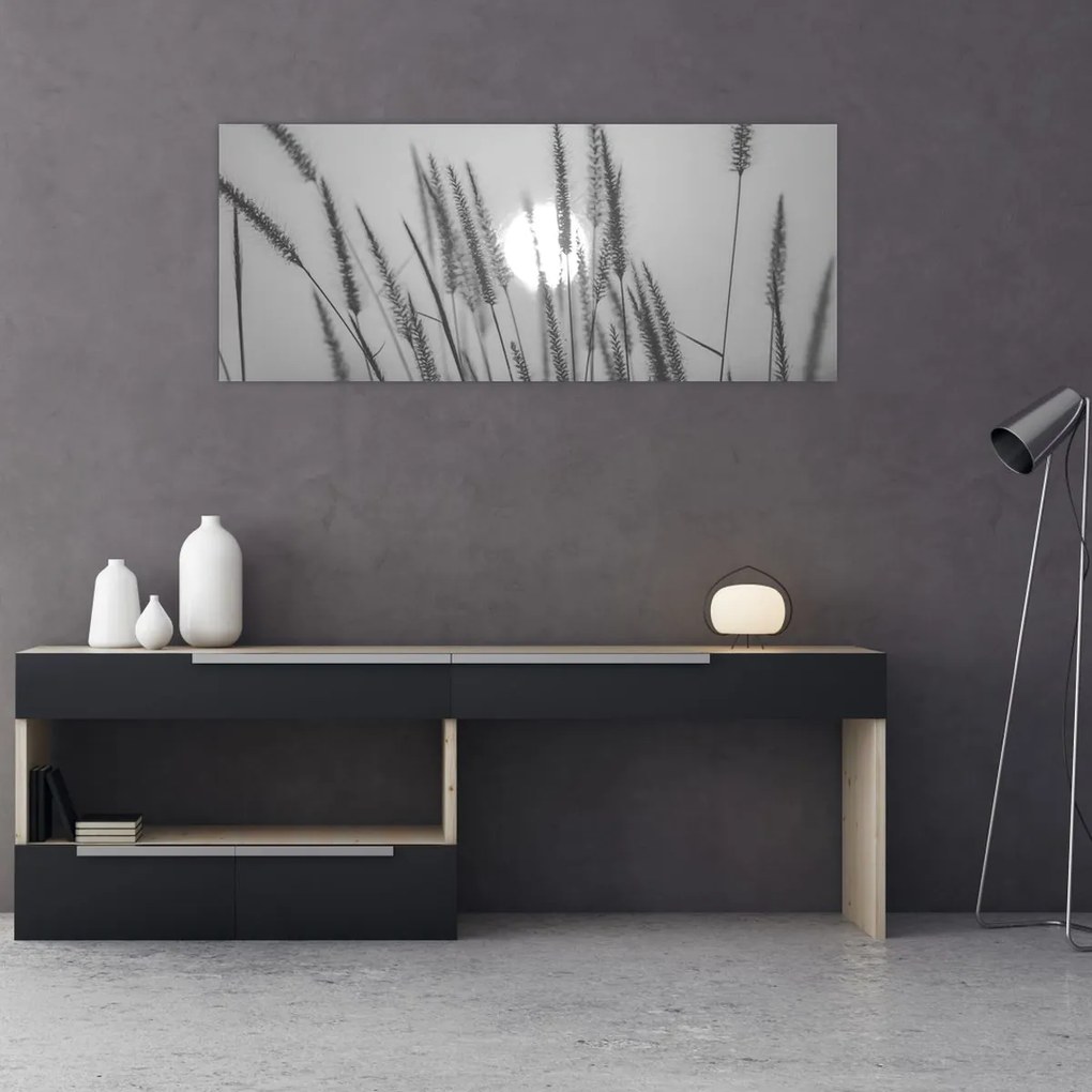 Obraz - Lúka pri západe slnka (120x50 cm)