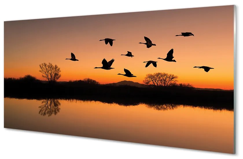 Nástenný panel  Lietajúce vtáky sunset 140x70cm