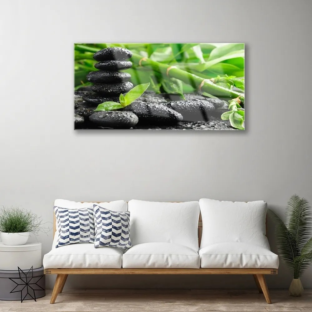 Obraz na akrylátovom skle Bambus kamene rastlina 100x50 cm