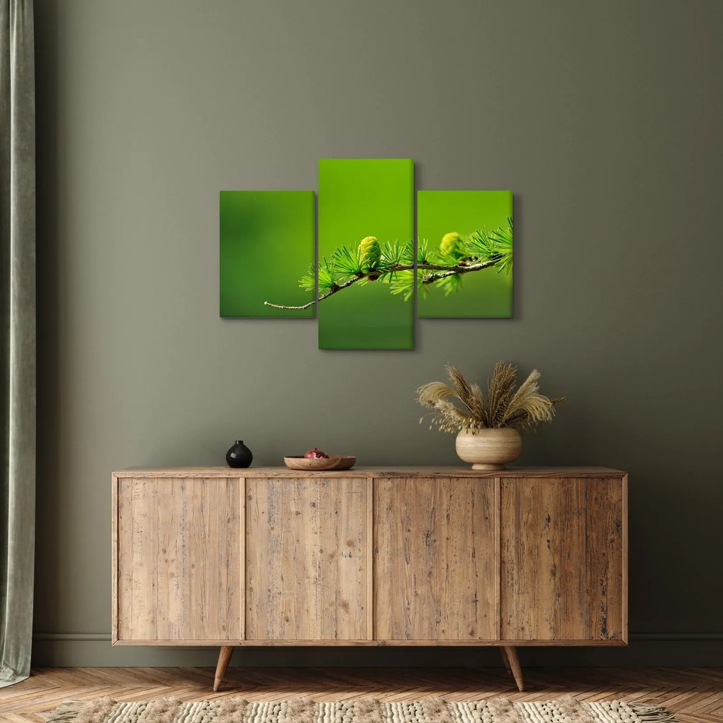 Obraz zelenej šišky (90x60 cm)
