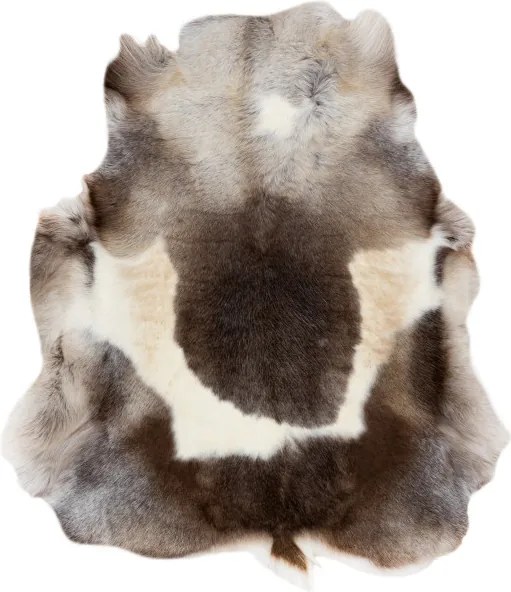 Koberec RENIFER POK019 hnedý