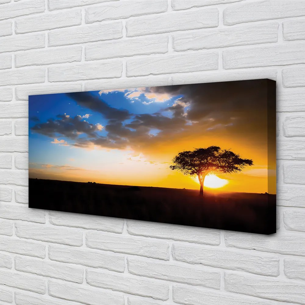 Obraz canvas mraky strom 125x50 cm