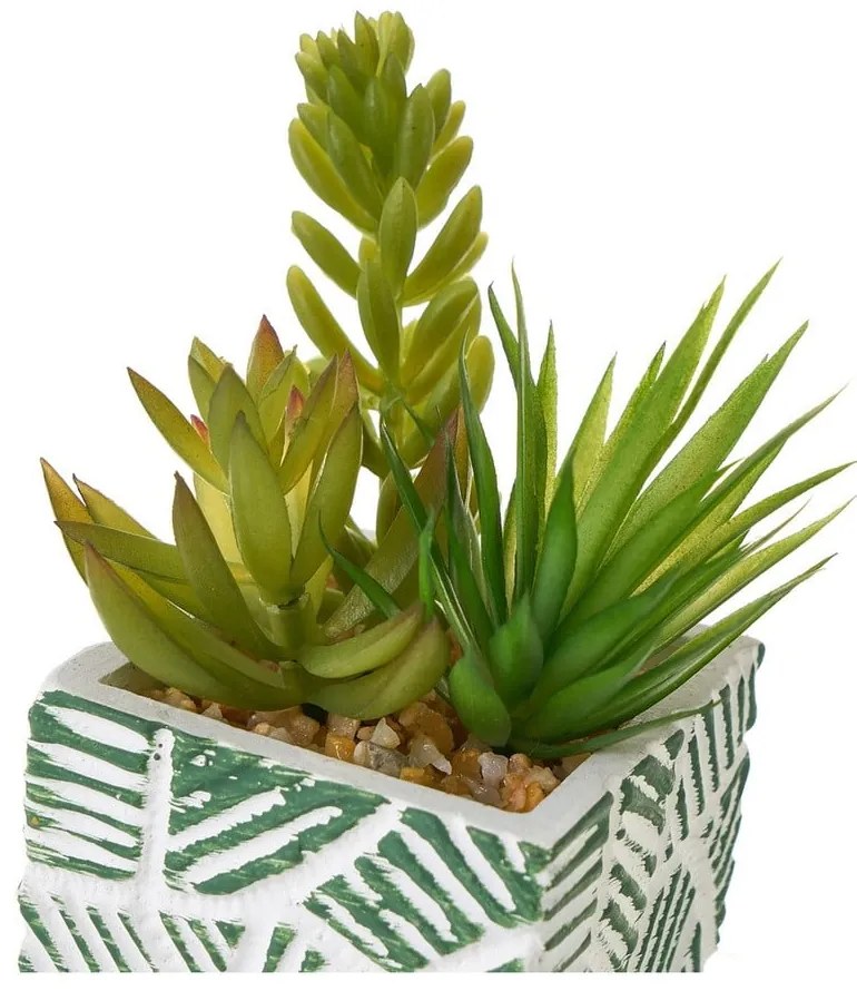 Umelé rastliny v súprave 3 ks (výška 12 cm) Cactus – Casa Selección