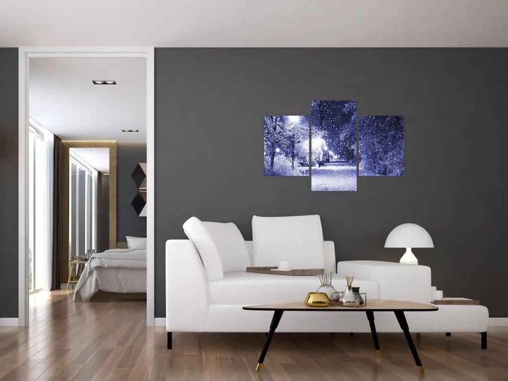 Obraz - Čarovná zimná noc (90x60 cm)
