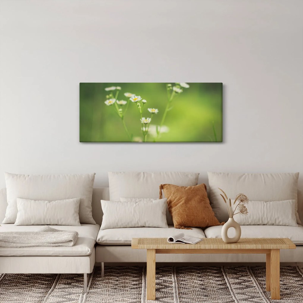 Obraz Sedmokrásky (120x50 cm)