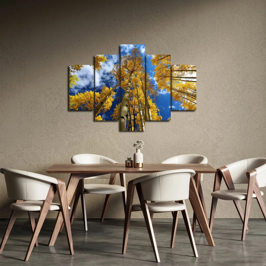 Obraz - Aspen (150x105 cm)