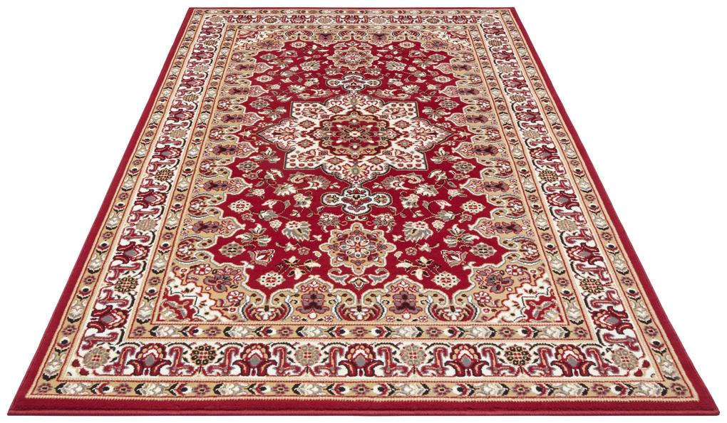 Nouristan - Hanse Home koberce Kusový koberec Mirkan 104103 Red - 120x170 cm
