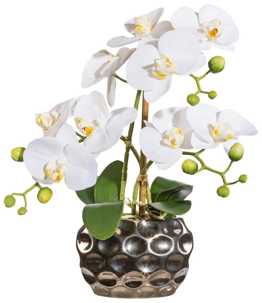 Gasper Orchidea x3, približne 30 cm biela, v oválnej váze