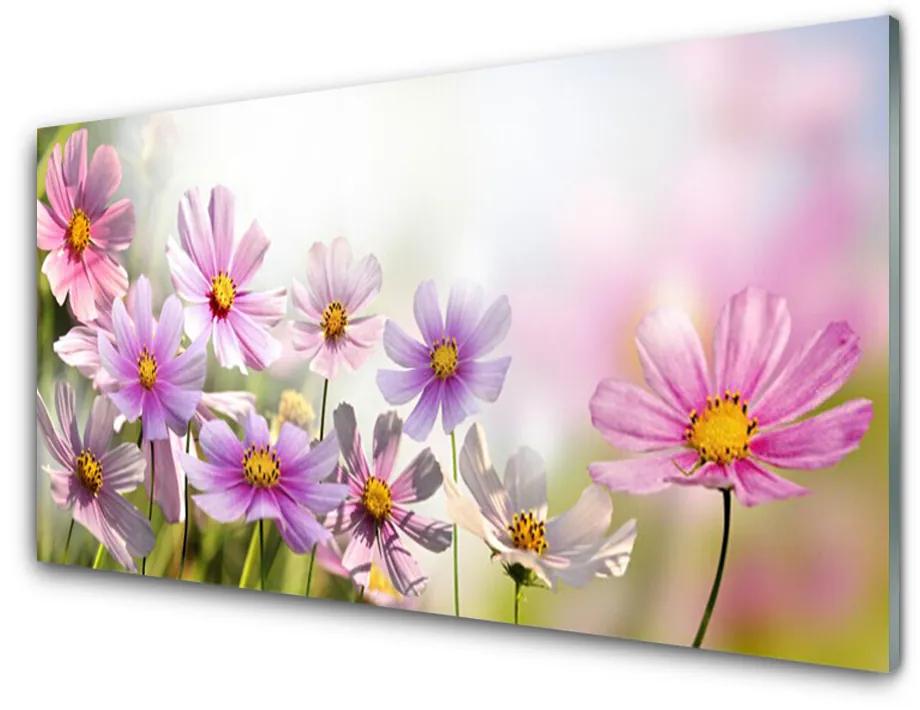Skleneny obraz Kvety rastlina príroda 140x70cm
