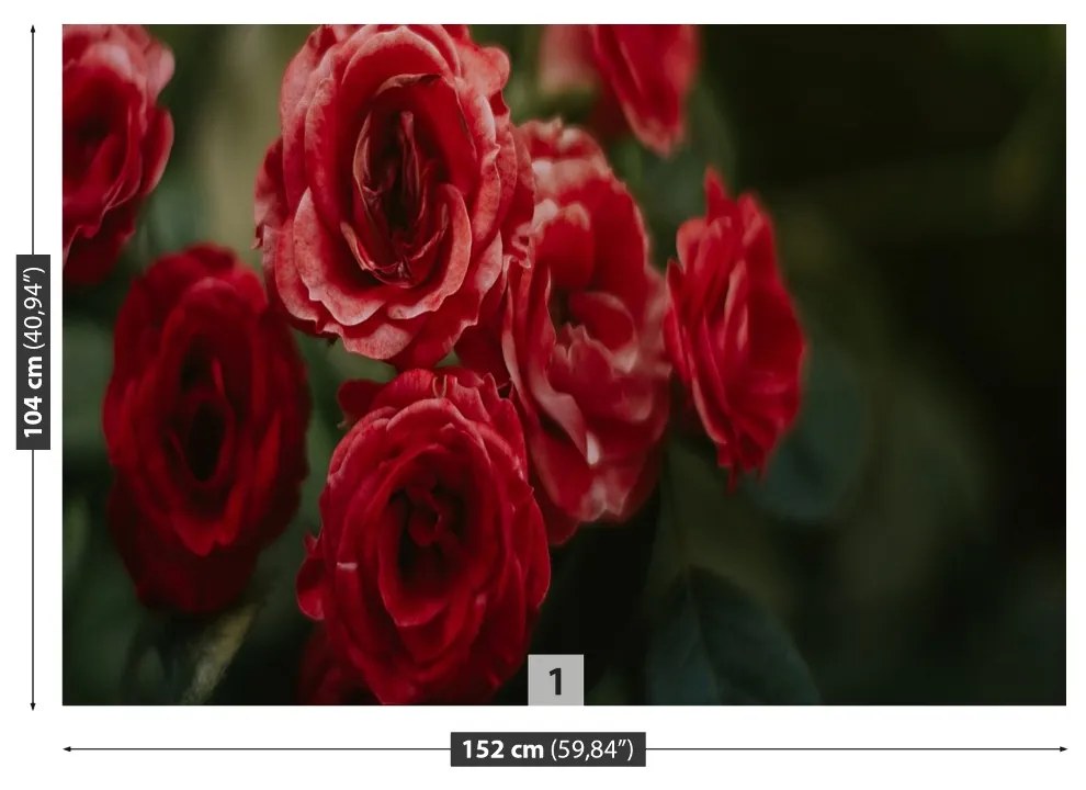Fototapeta Vliesová Vintage ruže 208x146 cm