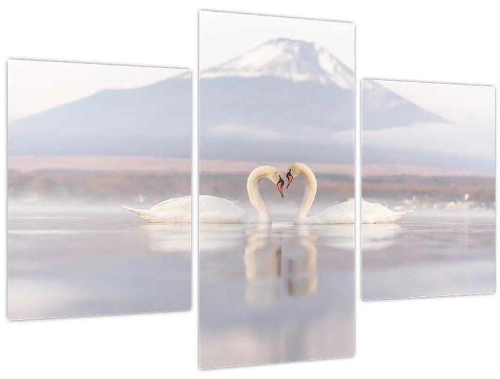 Obraz - Zamilované labute (90x60 cm)