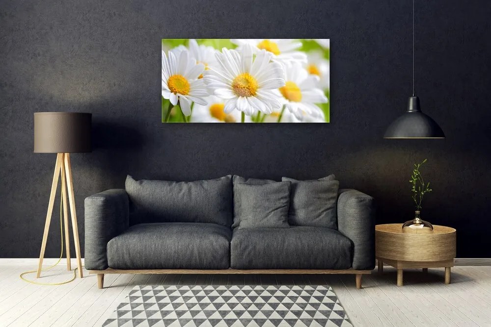 Skleneny obraz Sedmokrásky rastlina príroda 100x50 cm