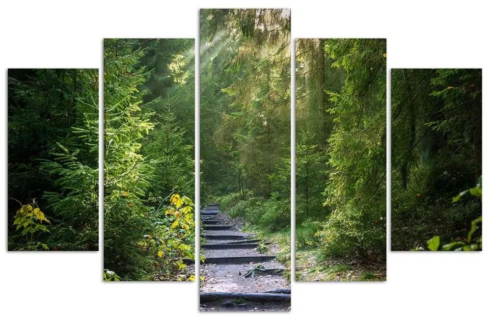Obraz na plátně pětidílný Lesní příroda Zelená krajina - 200x100 cm