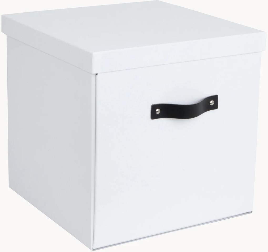 Úložná škatuľa Logan