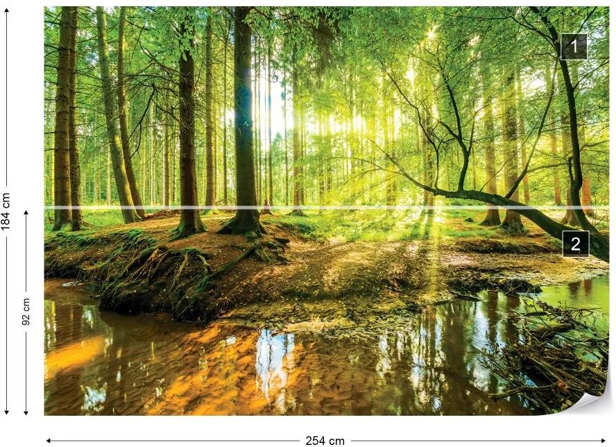 Fototapeta GLIX - Forest Lake + lepidlo ZADARMO Vliesová tapeta  - 254x184 cm