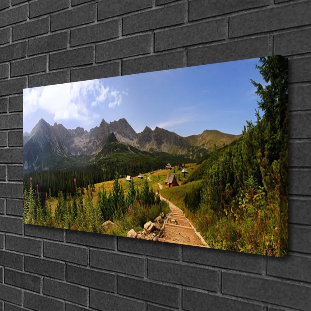 Obraz Canvas Hala góry droga natura łąka 120x60 cm