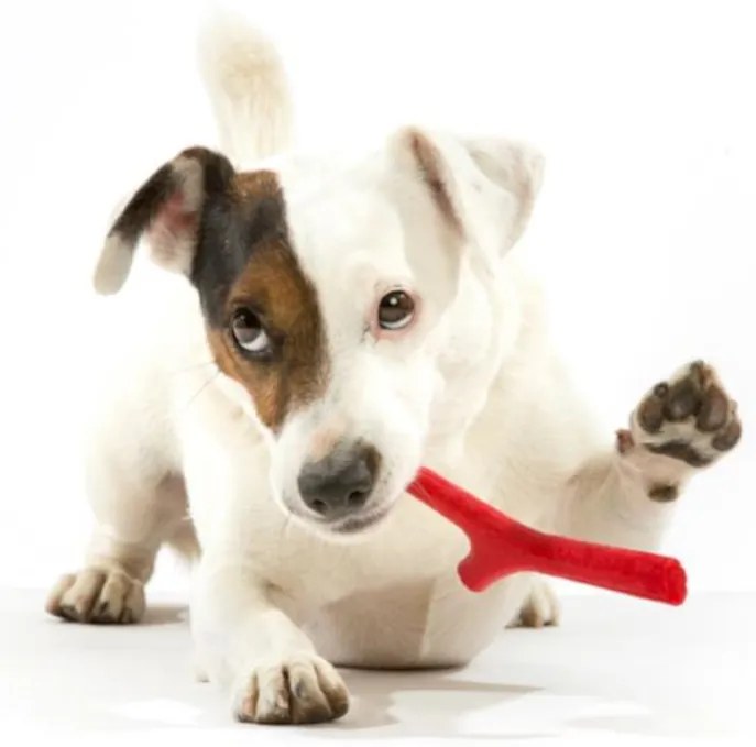 BAMA Hračka pre psov TUTTOMIO MINI Barva: hnědá