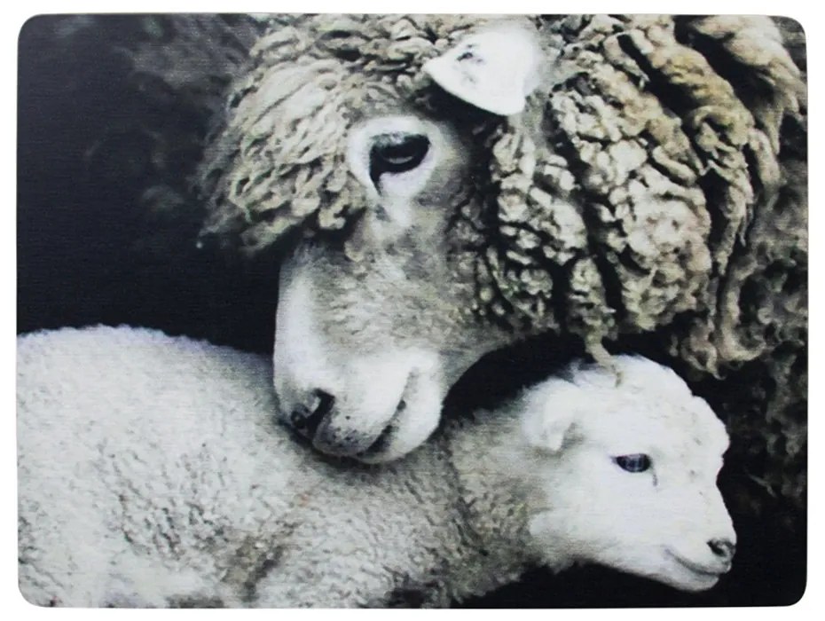 4 ks pevné korkové prestieranie Ovce - 30 * 40 * 0,4 cm