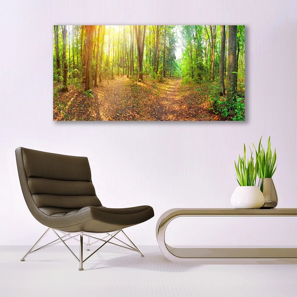 Obraz plexi Slnko príroda lesné chodník 120x60 cm