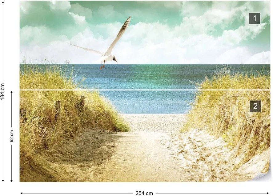 GLIX Fototapeta - Pastel Colours Beach Sand Dune Path Vliesová tapeta  - 254x184 cm