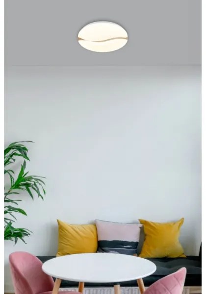 Globo 41790-18 - LED stropné svietidlo LETICIA LED/24W/230V pr. 33 cm