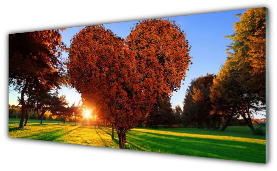 Obraz plexi Strom srdce přírdoa 125x50 cm