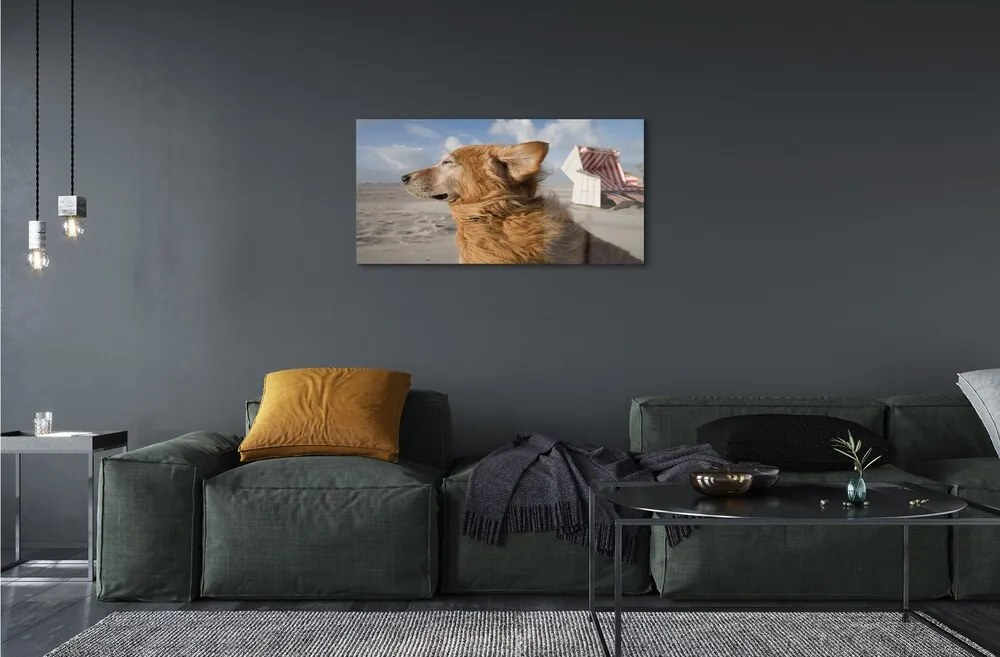 Sklenený obraz Hnedý pes beach 120x60 cm