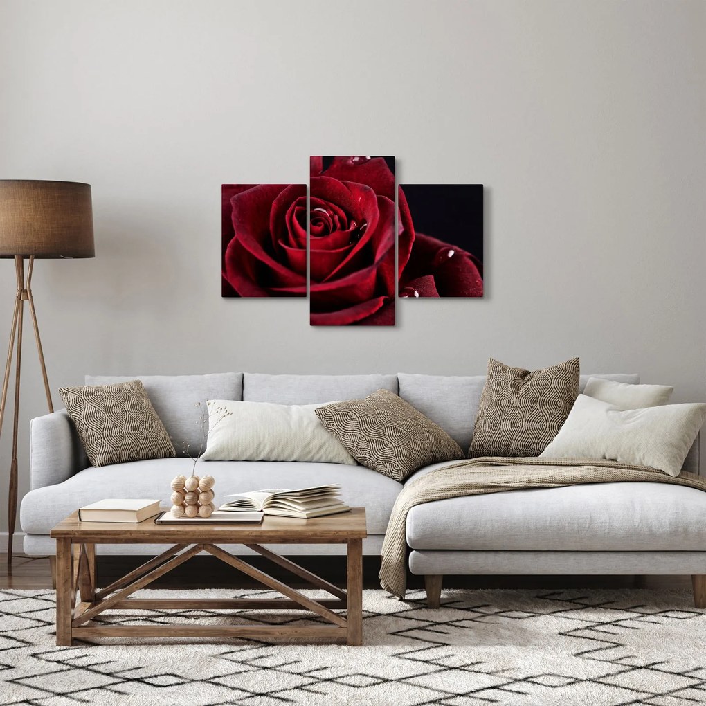 Obraz - Červená ruža (90x60 cm)