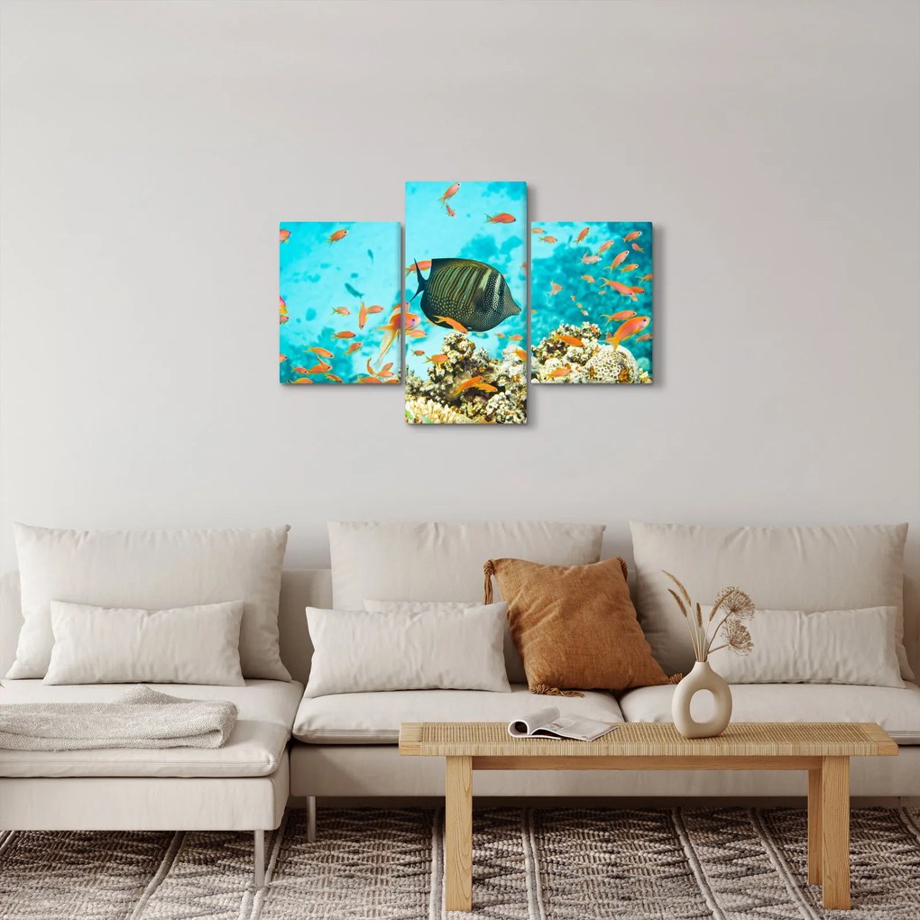 Obraz podmorského sveta (90x60 cm)