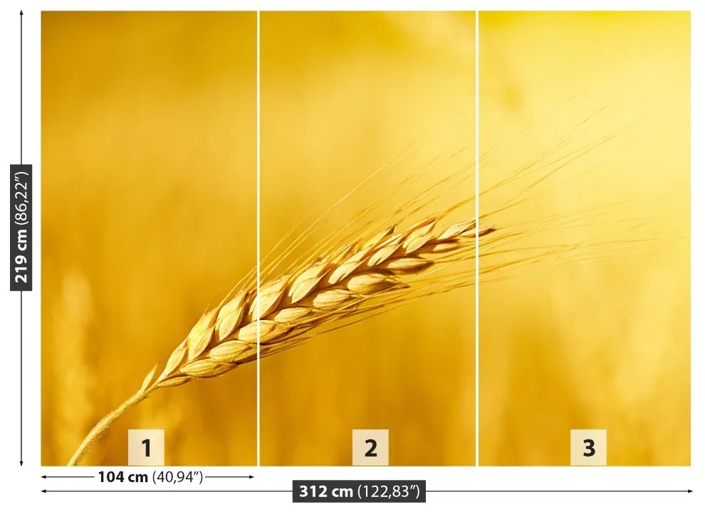 Fototapeta Vliesová Klas pšenice 208x146 cm
