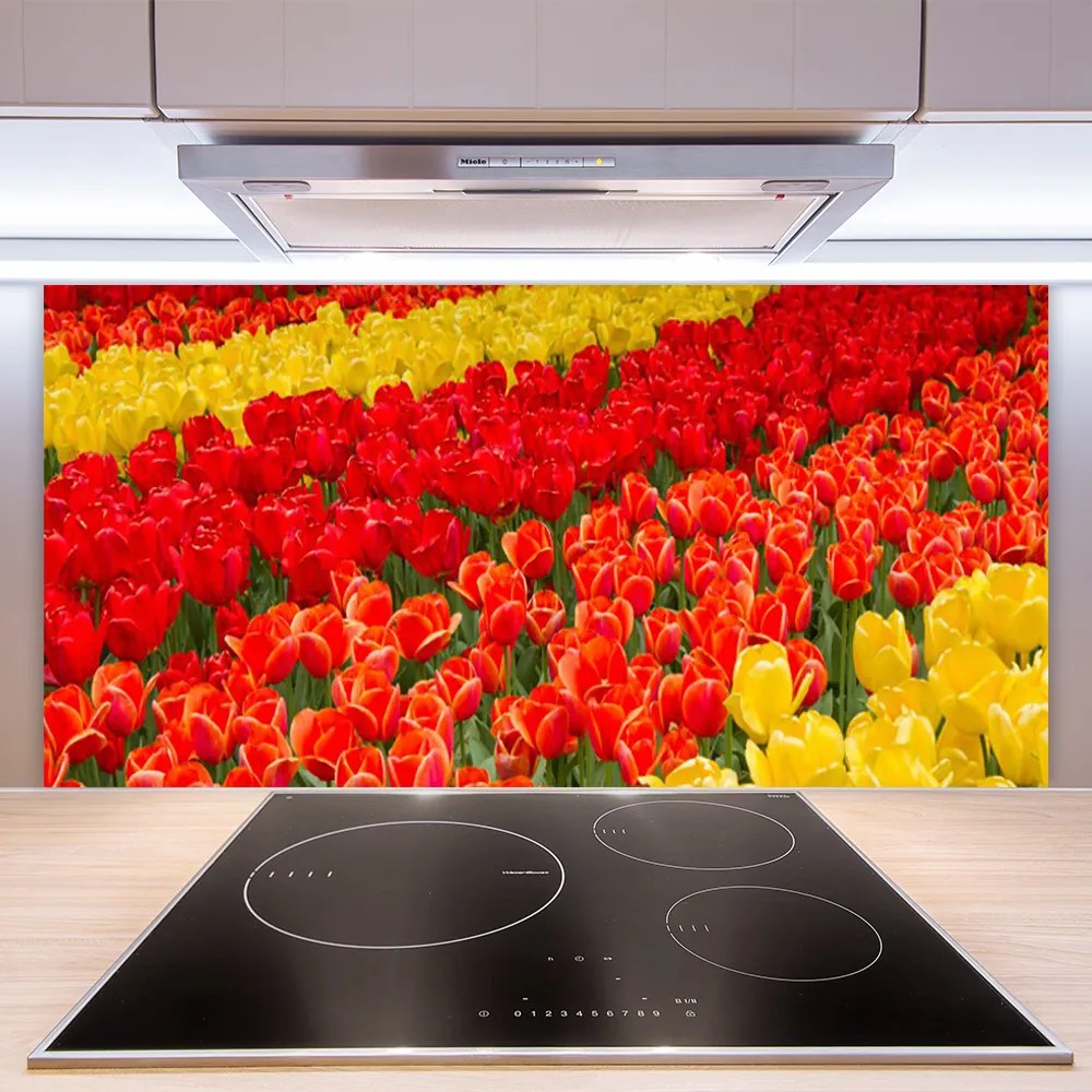 Nástenný panel  Tulipány kvety 100x50 cm