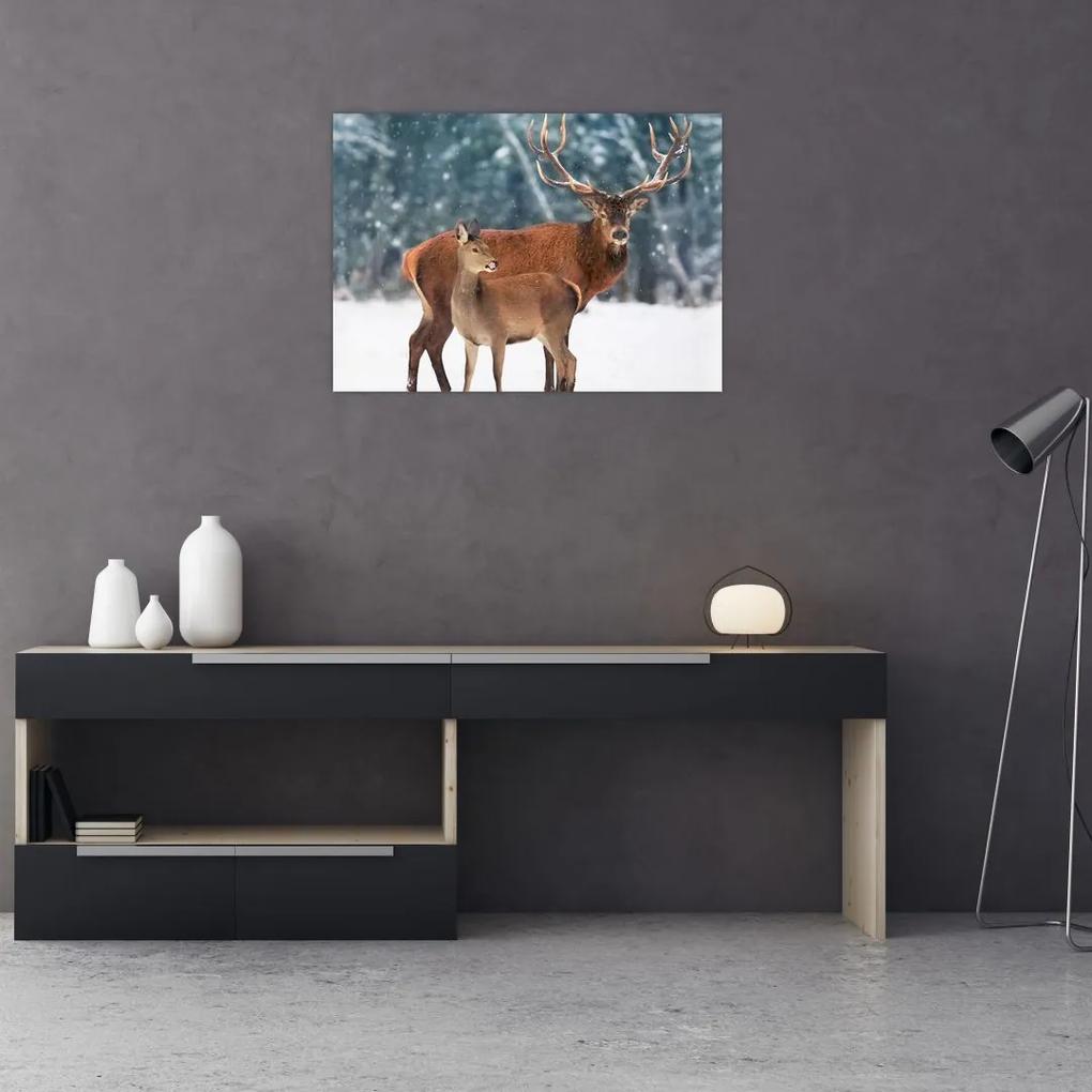 Sklenený obraz Jeleňa s laňou (70x50 cm)