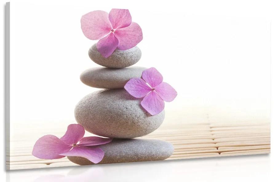 Obraz balans kameňov a ružové orientálne kvety Varianta: 120x80