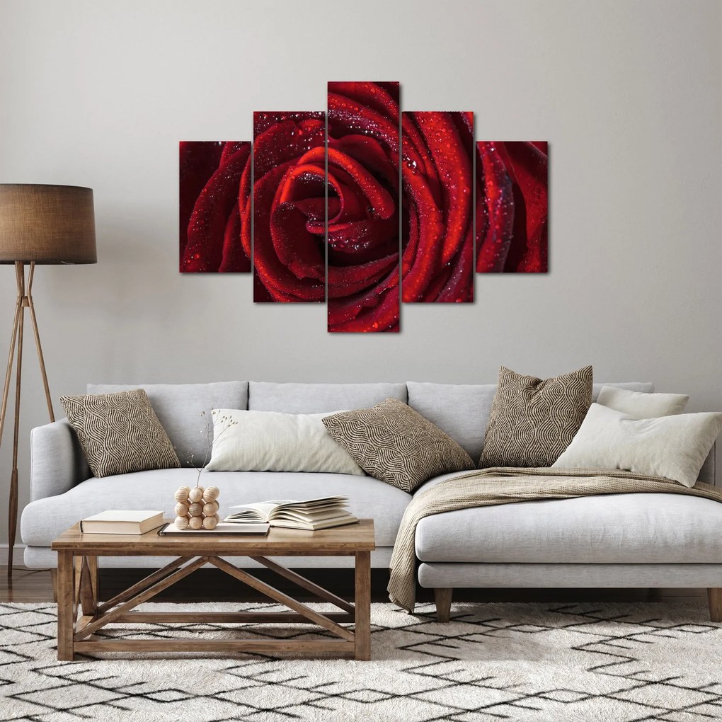 Obraz - Červená ruža s kvapkami rosy (150x105 cm)