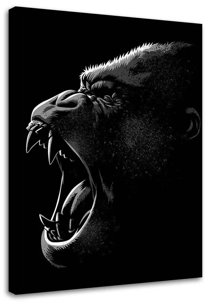 Gario Obraz na plátne King Kong - Alberto Perez Rozmery: 40 x 60 cm