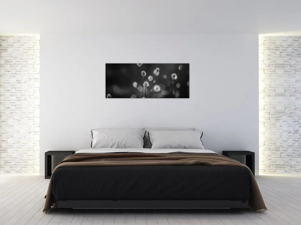 Obraz - Cottongrass na lúke (120x50 cm)