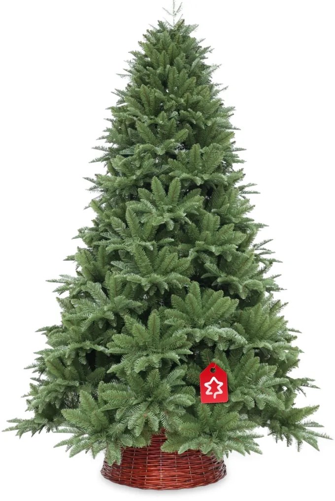 Jedľa Normandská extra hustá 240 cm