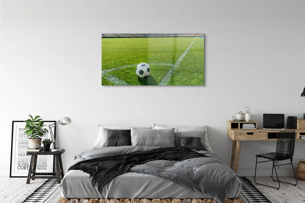 Obraz plexi Futbalový štadión trávy 125x50 cm